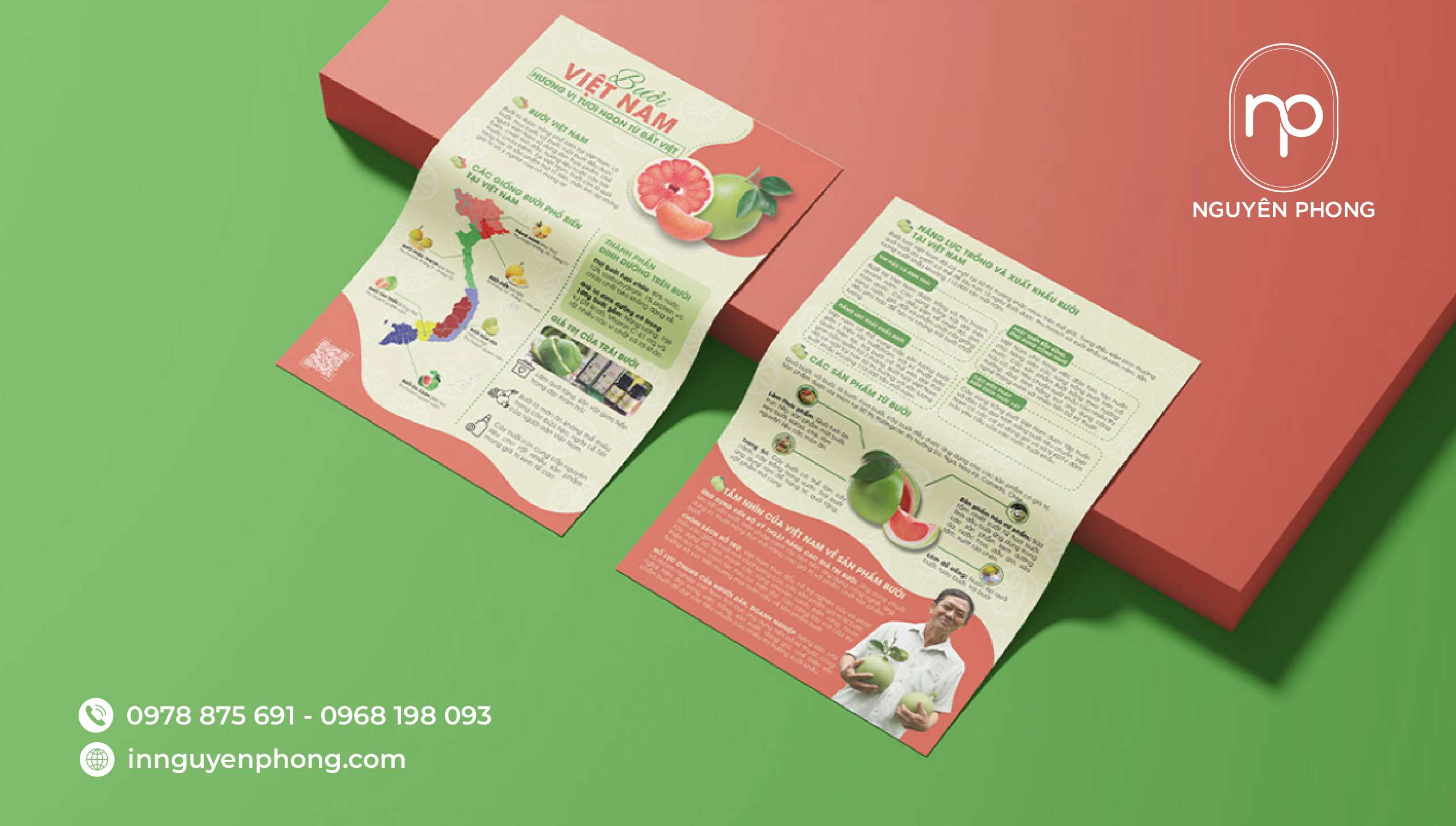 Mẫu tờ rơi được in với màu sắc tươi sáng